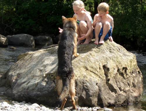Human Family / Friends #06